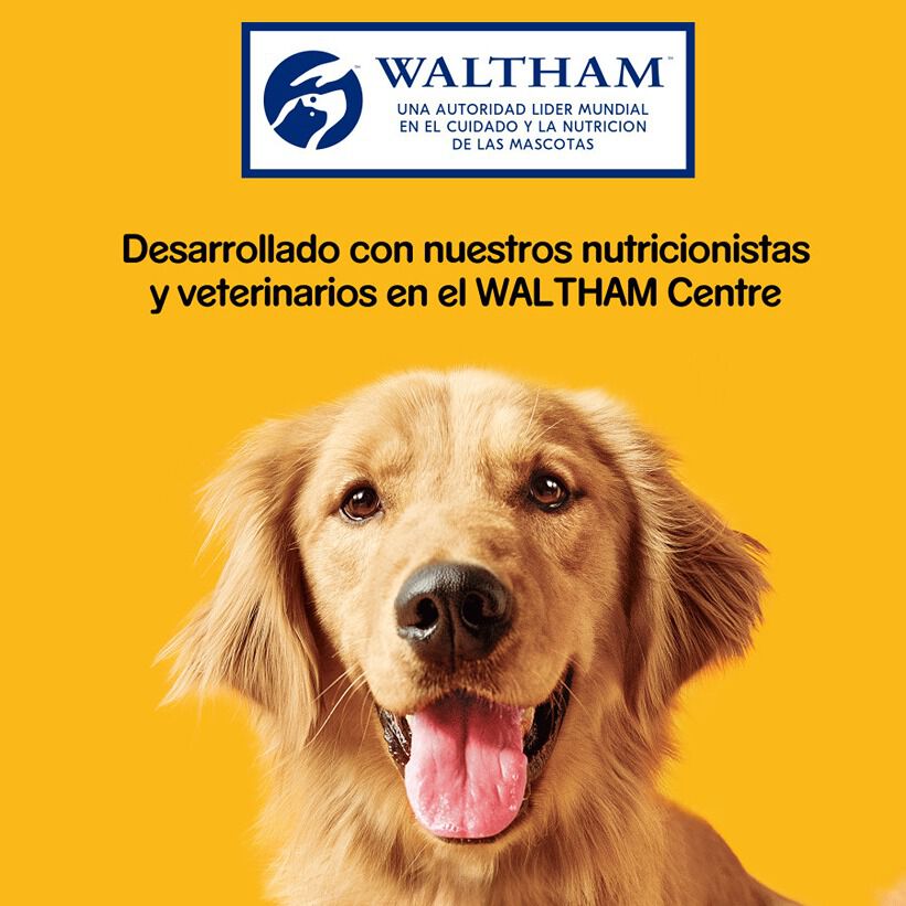 Pedigree Galletas Biscrok de 3 Sabores para Perros thumbnail