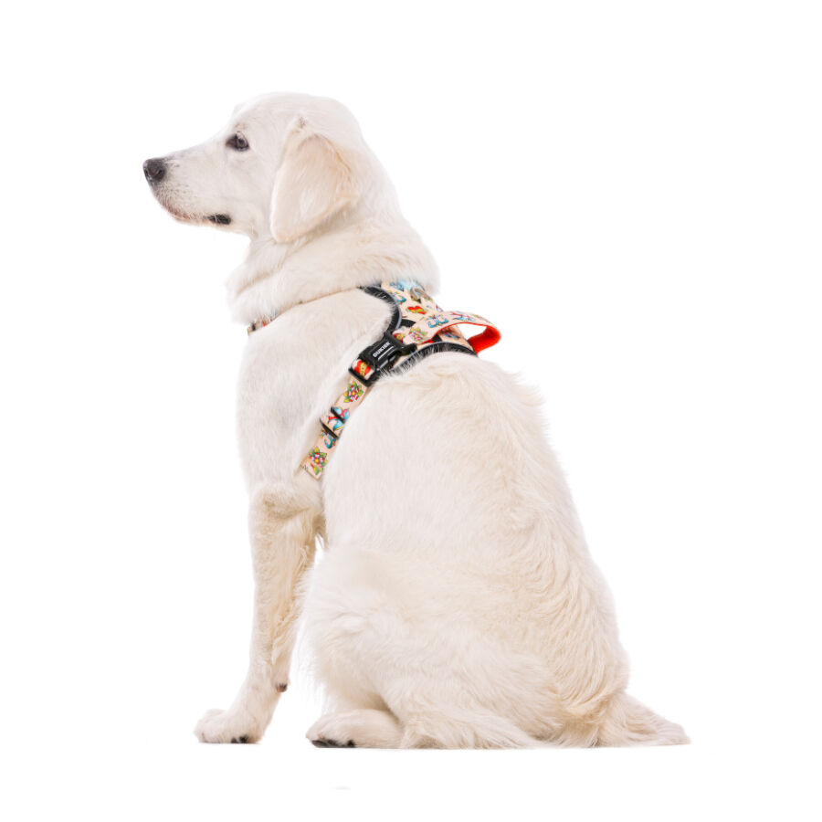 Dukier Tattoo Arn&eacute;s Trail para perros, , large Imagen numero 4