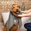 Vileda Pet Pro Toalla de Microfibra Gris para perros, , large indicador imagen numero 4