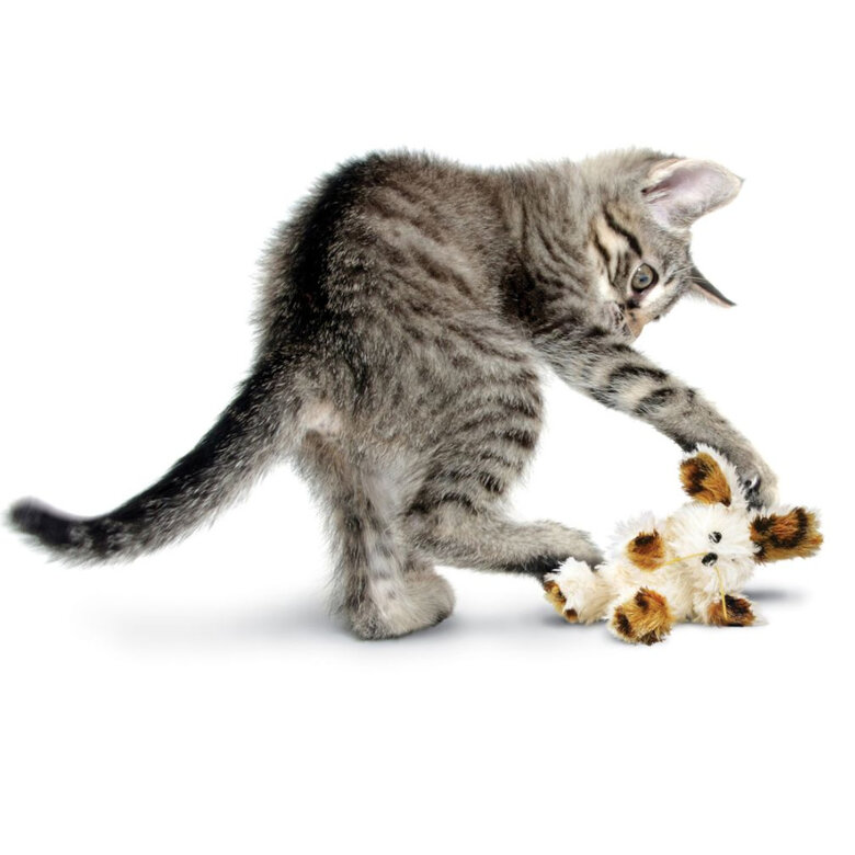 Kong Softies Patchwork Oso de peluche para gatos,  Imagen numero 2 Kong Softies Patchwork Oso de peluche para gatos, , large Imagen numero 2