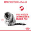 10 kg Royal Canin Intense Hairball pienso para gatos, , large indicador imagen numero 5