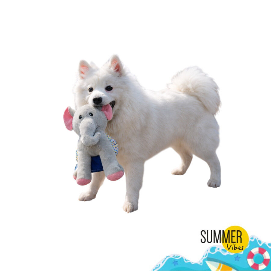 Summer Vibes Elefante Dolce Vita  Peluche para perros, , large Imagen numero 6