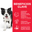14 kg Hill's Science Plan Youthful Vitality Medium Adult Pollo pienso para perros, , large indicador imagen numero 3