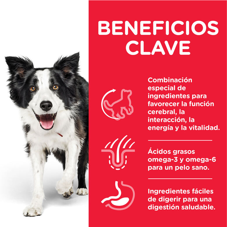 Hill&#039;s Science Plan Youthful Vitality Medium Adult Pollo pienso para perros thumbnail