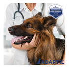 Adaptil Difusor y Recambio Tranquilizante para perros, , large image number null