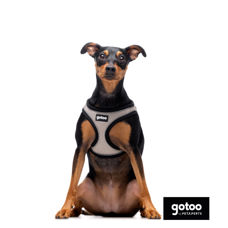 Gotoo Arn&eacute;s ajustable de malla  gris para perros, , large Imagen numero 3