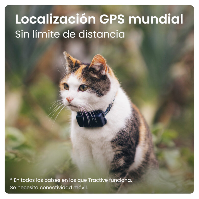 Tractive Localizador GPS para gatos,  Imagen numero 4 Tractive Localizador GPS para gatos, , large Imagen numero 4