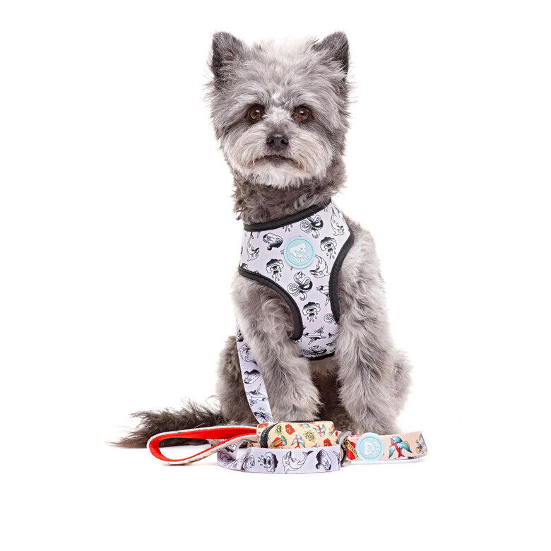 Dukier Arnés Reversible Estampado Tattoo para perros thumbnail
