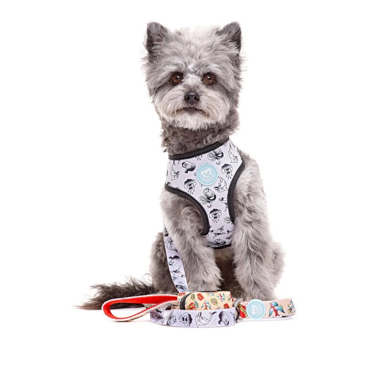 Dukier Arnés Reversible Estampado Tattoo para perros,  Imagen numero 4 Dukier Arnés Reversible Estampado Tattoo para perros, , large Imagen numero 4