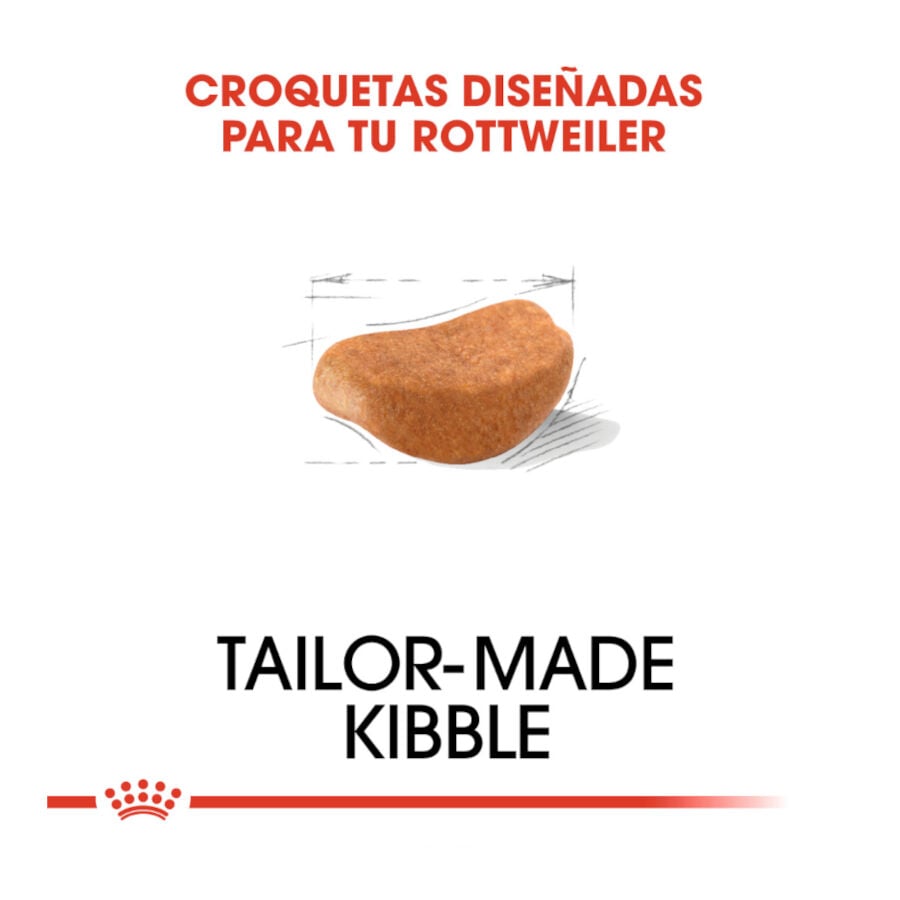 12 kg Royal Canin Adult Rottweiler pienso para perros, , large Imagen numero 5