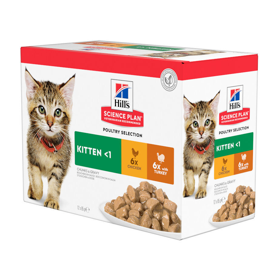 12 sobres x 85 g Hill's Science Plan Kitten Pollo y Pavo en Salsa sobre para gatos, , large Imagen numero 1