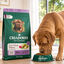 12 kg Criadores Adulto Grain Free Pavo pienso para perros de raza mediana y grande, , large indicador imagen numero 7
