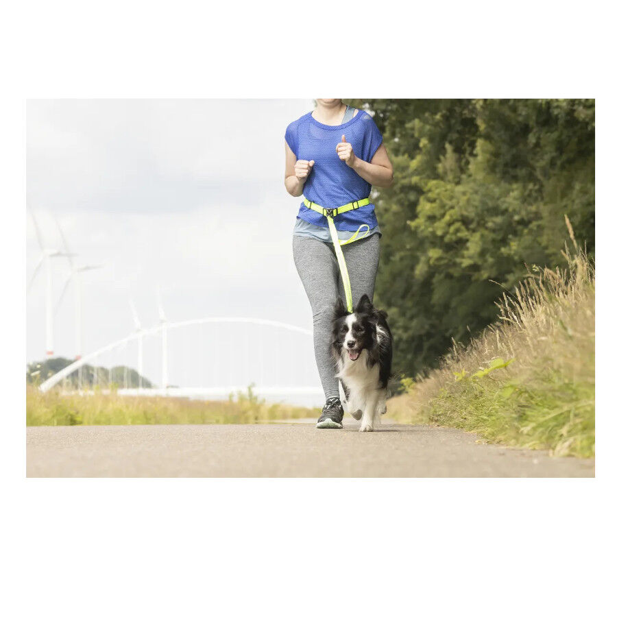 Flamingo Correa Canicross Amarillo Fluorescente para perros, , large Imagen numero 6