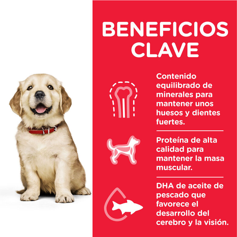 Hill's Science Plan Puppy large Pollo pienso para perros, , large image number null