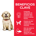 Hill's Science Plan Puppy large Pollo pienso para perros, , large image number null