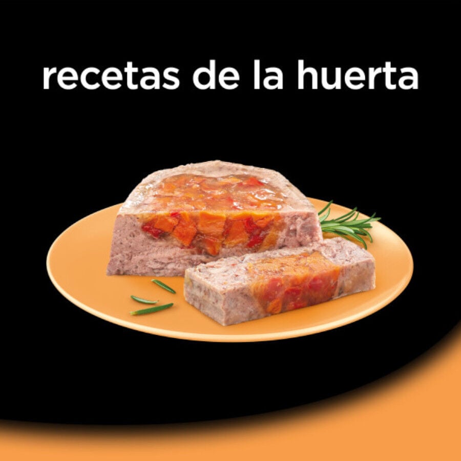 8 tarrinas x 150 g Cesar Recetas de la huerta Tarrina en Pat&eacute; y Gelatina para Perros , , large Imagen numero 4