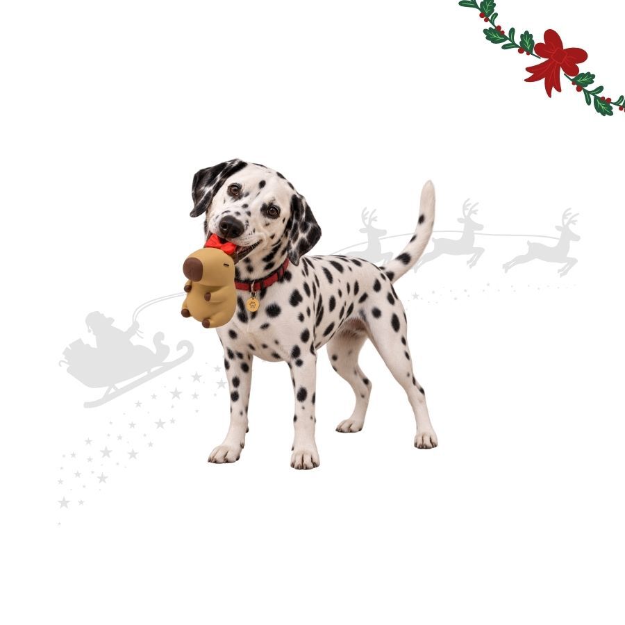 Wonder Christmas Capibara L&aacute;tex Peluche para perros, , large Imagen numero 1