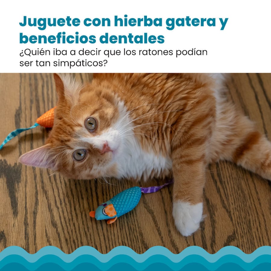 Catstages Chew Ratón con Catnip para gatos thumbnail