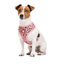 Dukier Arnés Reversible Estampado Leopardo para perros, , large indicador imagen numero 2