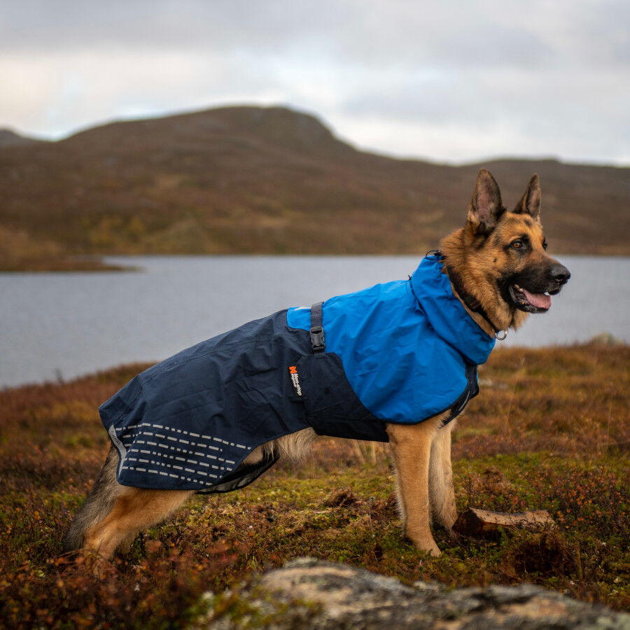 Non-stop dogwear Fjord Chubasquero Impermeable Azul para perros thumbnail