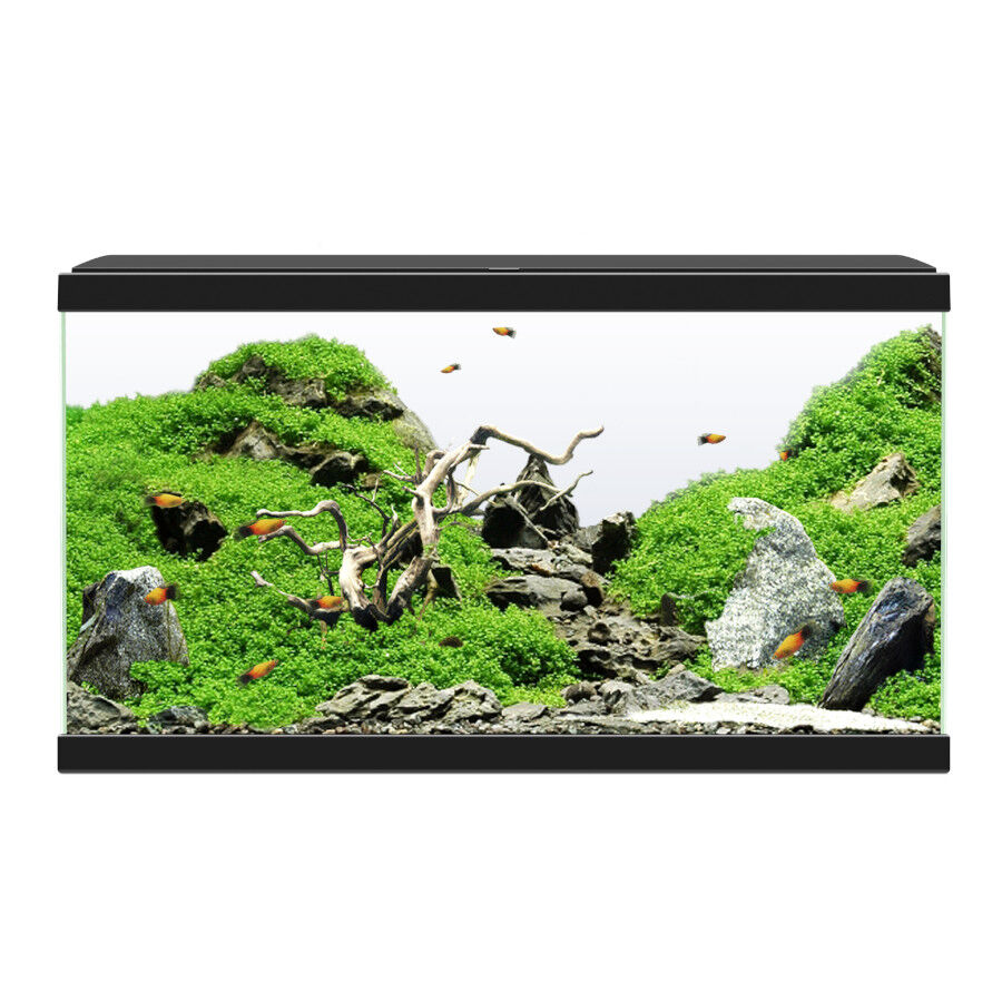 Ciano Aqua Led 60 Negro acuario con luz led, filtro y calentador thumbnail
