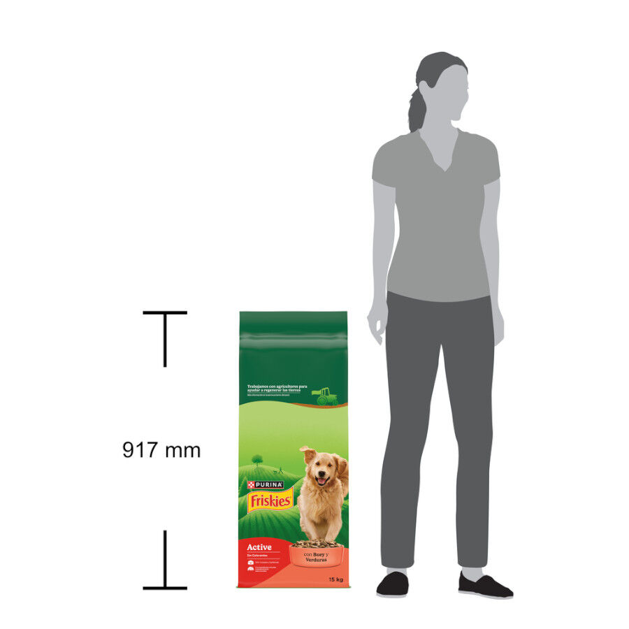 15 kg Friskies Active Pienso para perros, , large Imagen numero 4