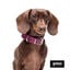 Gotoo Collar Biothane rojo vino para perros, , large indicador imagen numero 5