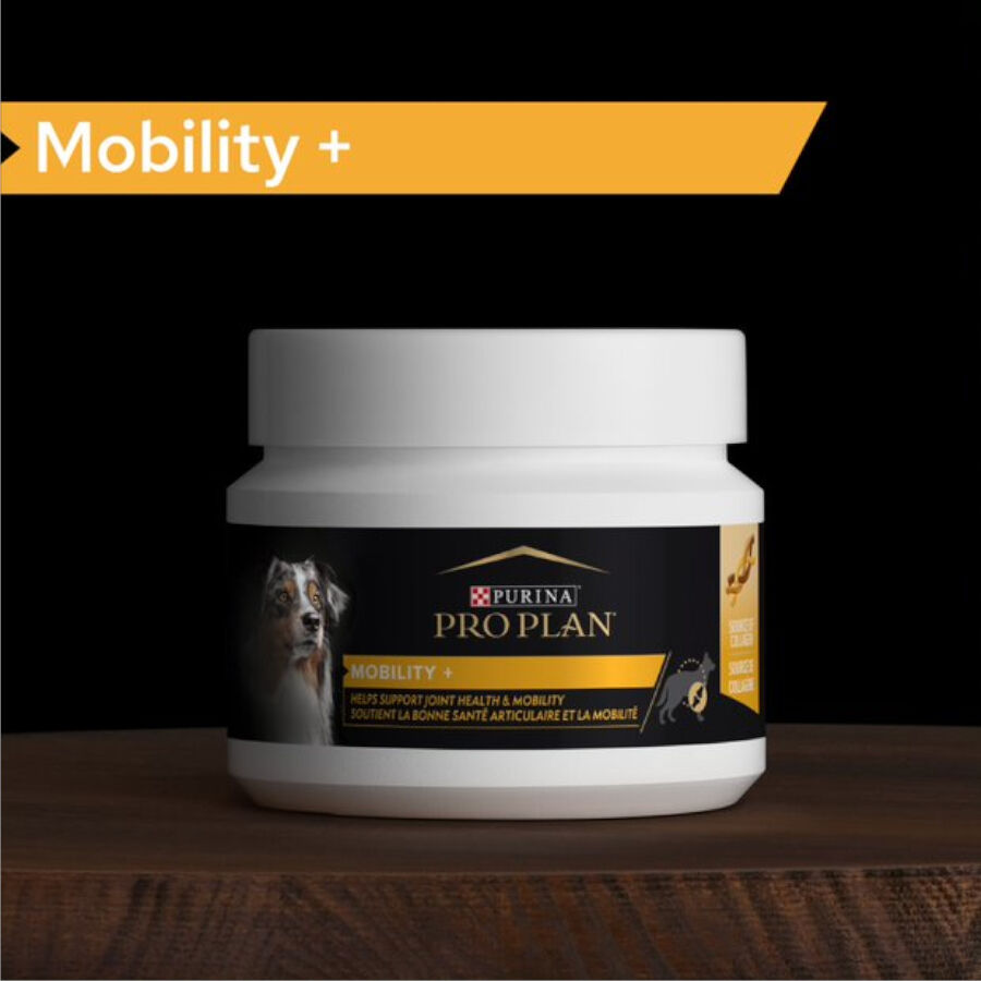 60 g Pro Plan Mobility+ Suplemento para perros, , large Imagen numero 2