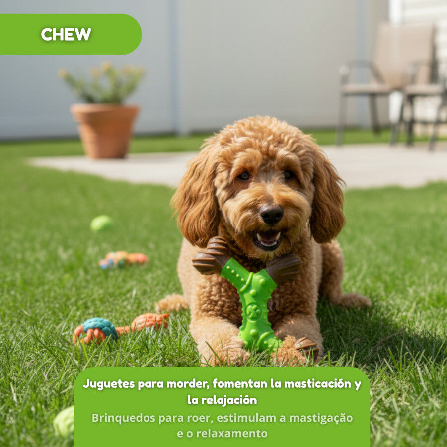 Tootoy! Hueso Mordedor Dental para perros, , large Imagen numero 5