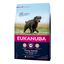 Eukanuba Senior Large Pollo pienso para perros, , large indicador imagen numero 1