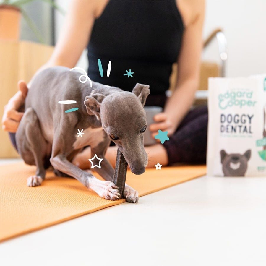 Edgard &amp; Cooper Barritas Dentales Menta y Fresa para perros medianos thumbnail