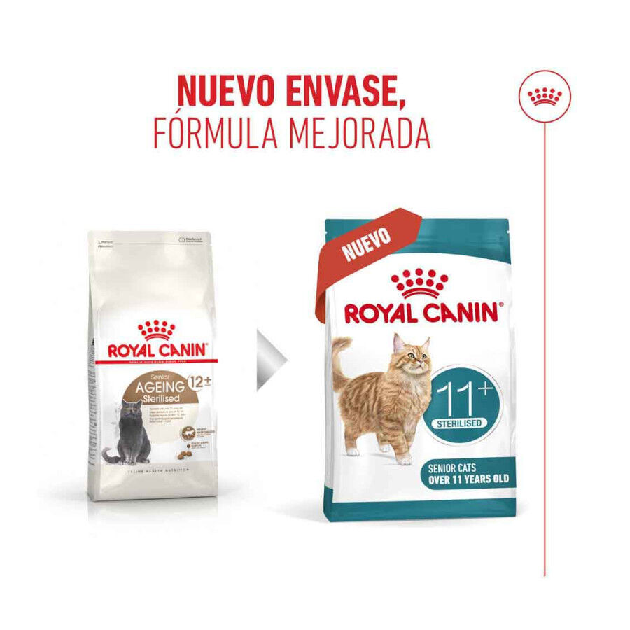 Royal Canin Ageing 11+ Sterilised pienso para gatos thumbnail