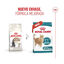 4 kg Royal Canin Ageing 11+ Sterilised pienso para gatos, , large indicador imagen numero 3