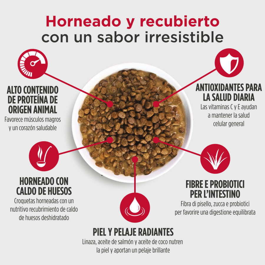 10 kg Nulo Baked Coated Pollo Pavo y Pato Pienso para perros, , large Imagen numero 4