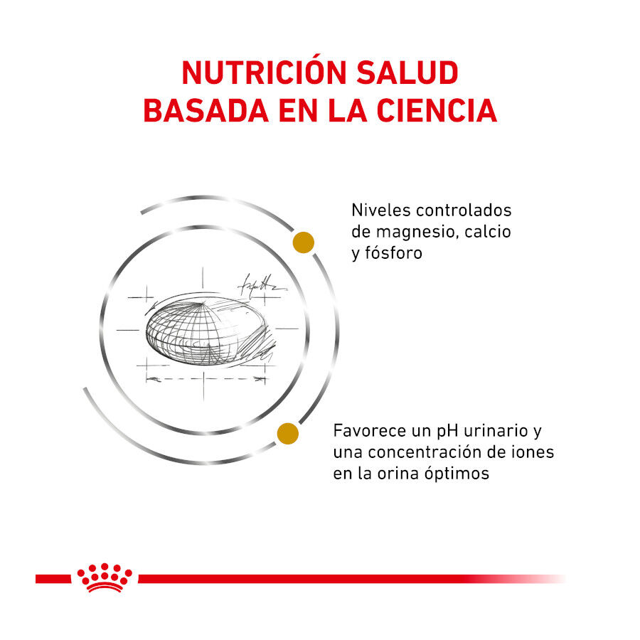 Royal Canin Veterinary Urinary pienso para gatos thumbnail