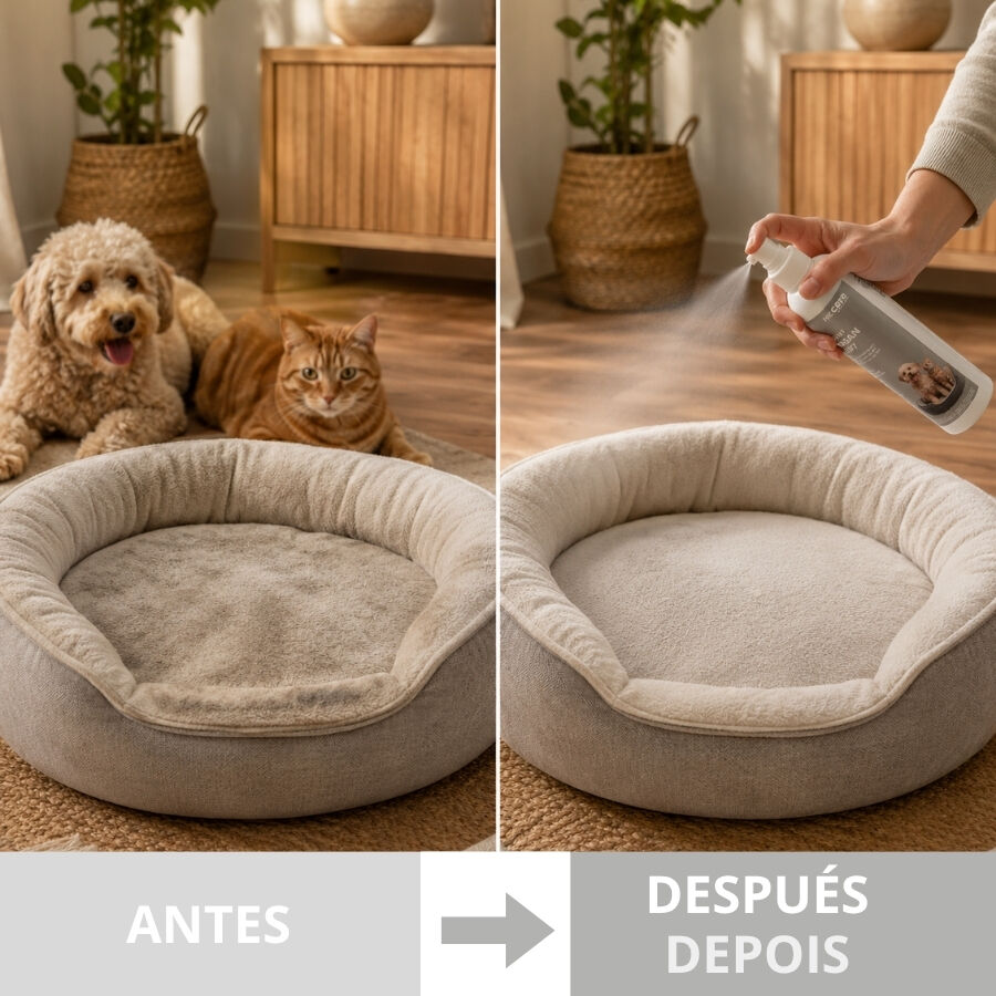 Nice Care Desinfectante Textil para perros y gatos, , large Imagen numero 4