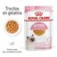 85 g Royal Canin Kitten comida húmeda en gelatina sobre para gatitos, , large indicador imagen numero 1