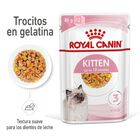 Royal Canin Kitten comida húmeda en gelatina sobre para gatitos, , large image number null