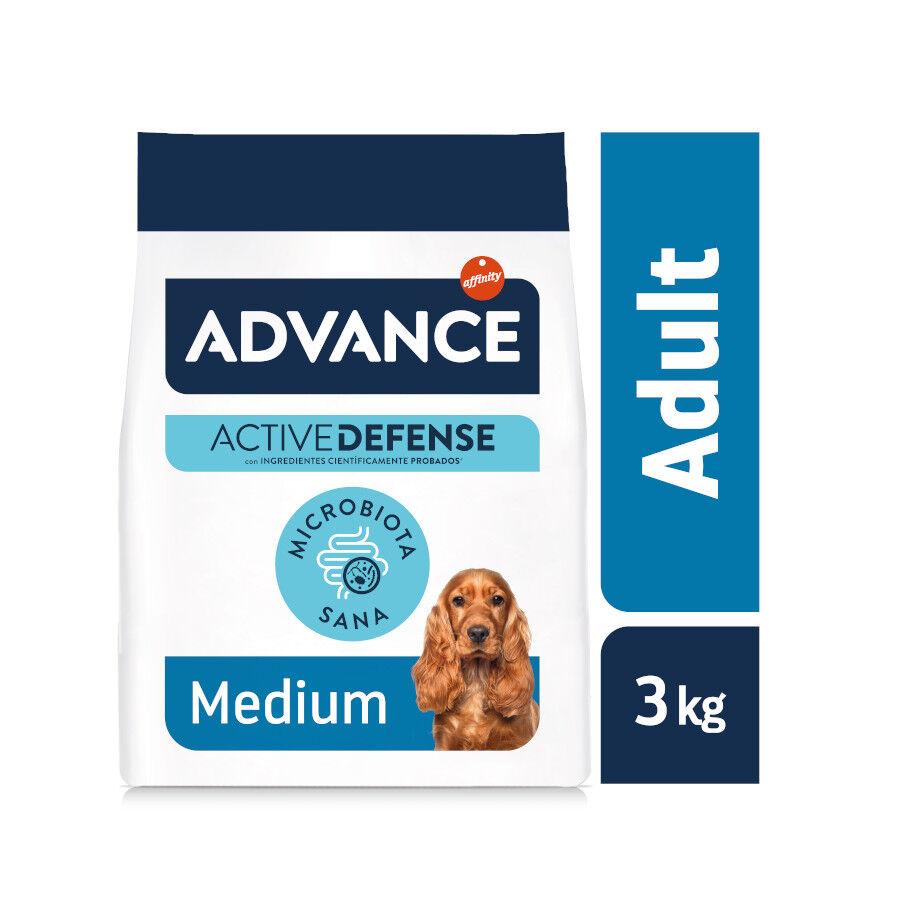 Advance Active Defense Medium Adult Pollo y Arroz pienso para perros thumbnail