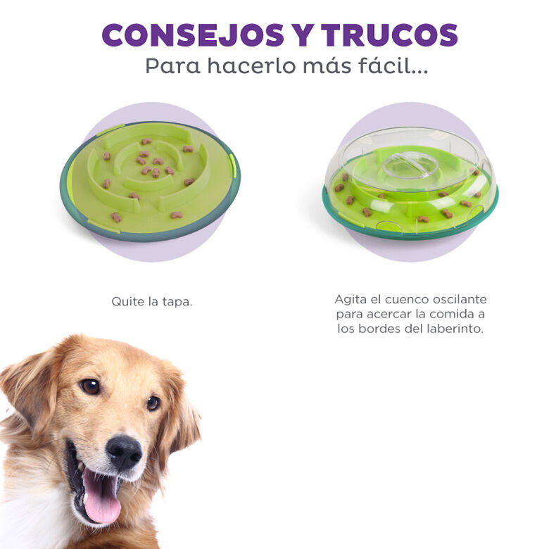 Outward Hound Wobble Bowl Juguete Interactivo Portagolosinas para perros thumbnail