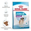 Royal Canin Giant Junior image number null