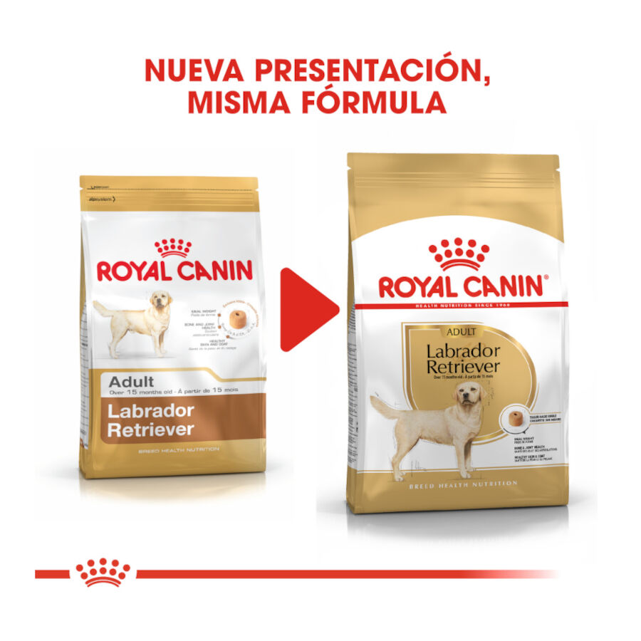 Royal Canin Adult Labrador Retriever pienso para perros thumbnail