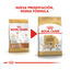 12 kg Royal Canin Adult Labrador Retriever pienso para perros, , large indicador imagen numero 3