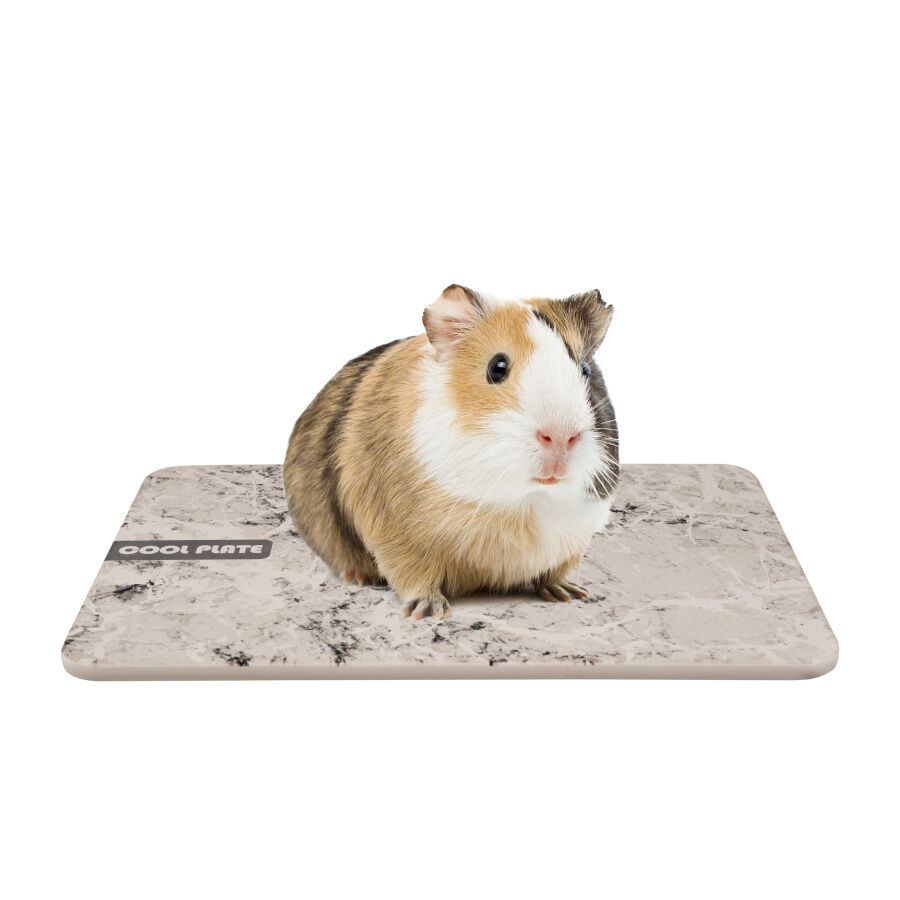 Flamingo Dolo Piedra Refrescante para roedores, , large Imagen numero 1