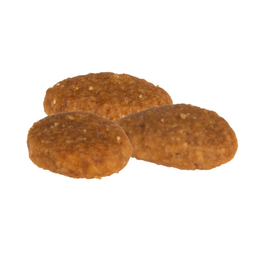 12 kg Criadores Mestizo Pavo pienso para perros medianos, , large Imagen numero 2