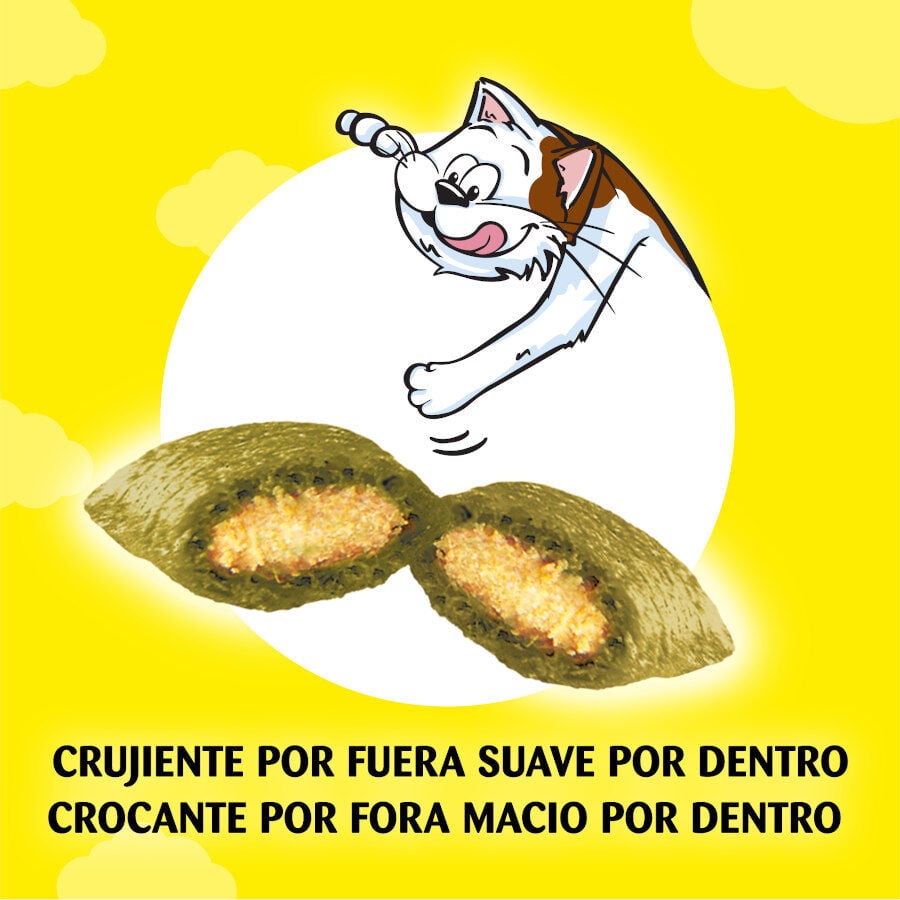 Catisfactions Bocaditos de Catnip para gatos thumbnail