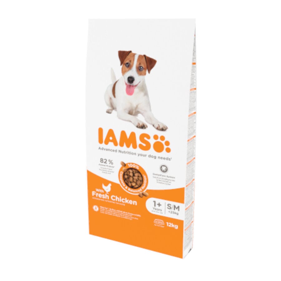 12 kg IAMS for Vitality Adult Mini&Medium Proactive Pollo pienso para perros, , large Imagen numero 1