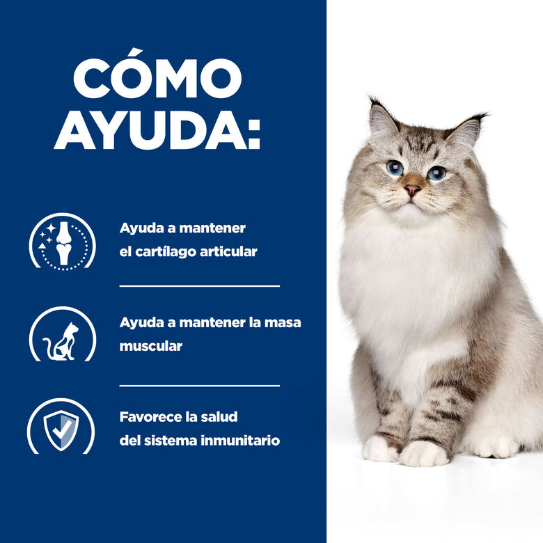 Hill&#039;s Prescription Diet Mobility j/d pienso para gatos thumbnail