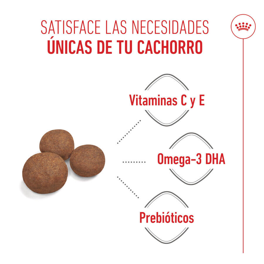 Royal Canin Puppy Medium pienso para cachorros thumbnail