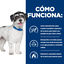6 kg Hill's Prescription Diet Metabolic + Mobility Mini j/d pienso para perros, , large indicador imagen numero 5